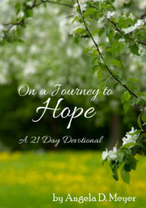 On a Journey to Hope by Angela D. Meyer