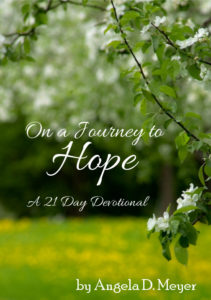 On a Journey to Hope by Angela D. Meyer
